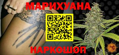 прущие крисы Новозыбков