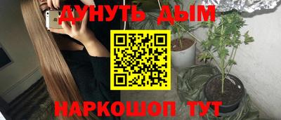 прущие крисы Новозыбков